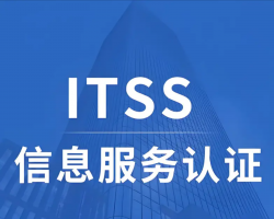 ITSS 3 级核心信息梳理关键要点与策略