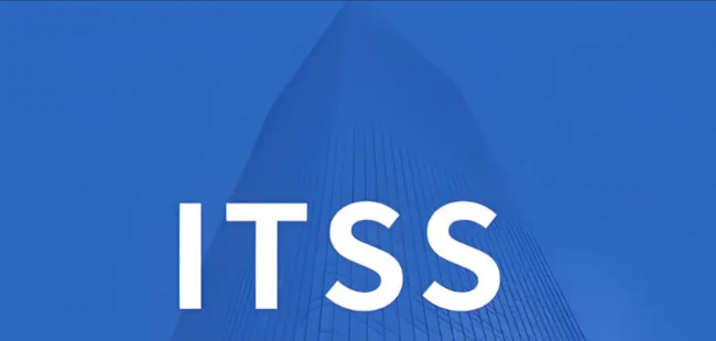 ITSS 3 级核心信息梳理关键要点与策略