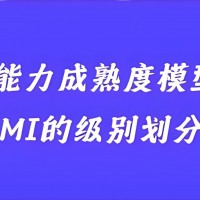 CMMI 认证：从初始级到优化级的能力进阶与企业选择