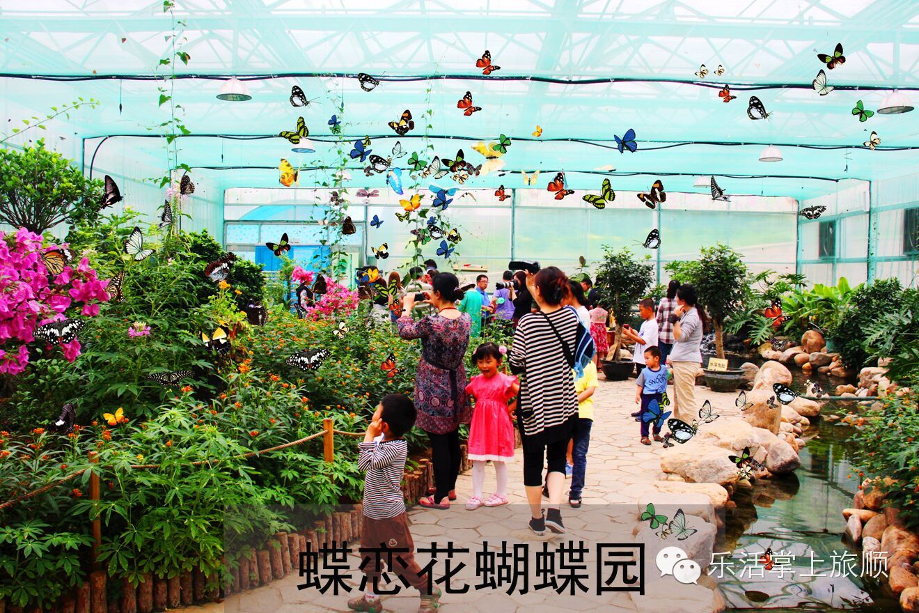 旅游景点
