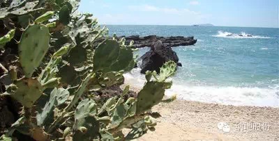 【爱风景，爱旅行，去广西北海】5月起北海、涠洲岛旅游旺季的开始。 ...