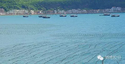 【爱风景，爱旅行，去广西北海】5月起北海、涠洲岛旅游旺季的开始。 ...